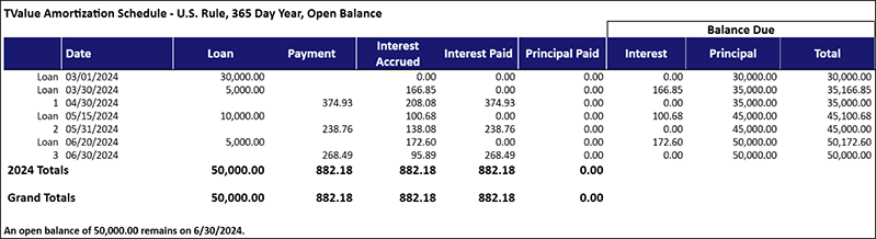 BLOG-Setting up a Line of Credit in TValue-Amortization Schedule